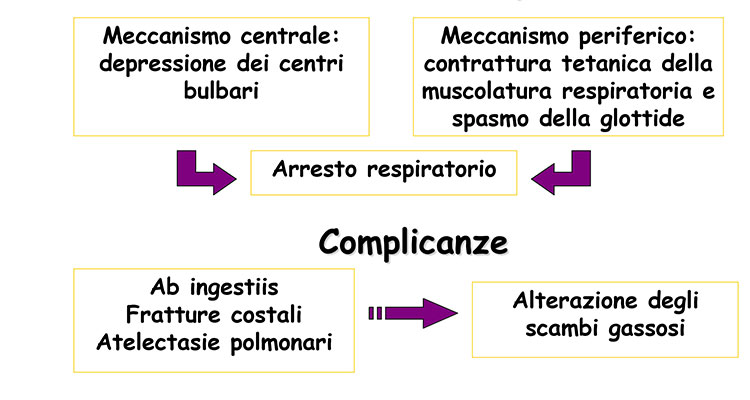 resp_elettro