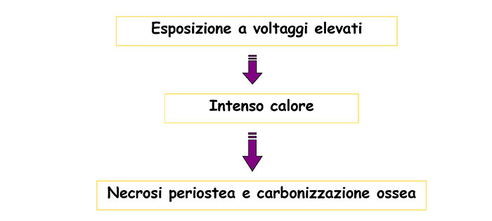 resp_muscolo