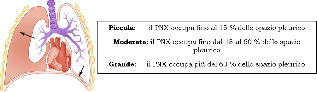 pnx_argenio1