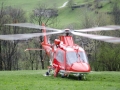 trevalli482