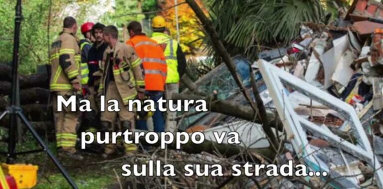 trib