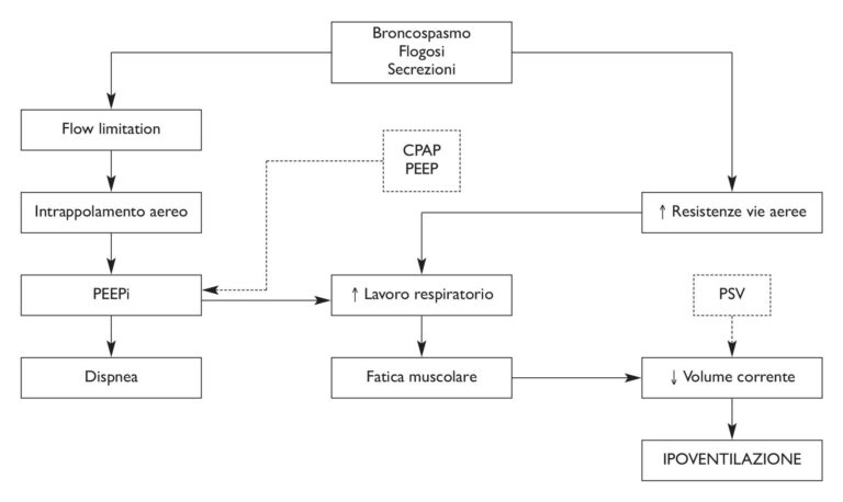 fig1