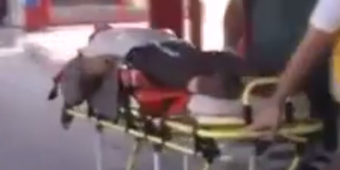 video1