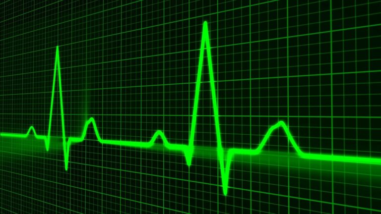 pulse-trace-gb1cd1091b_1280