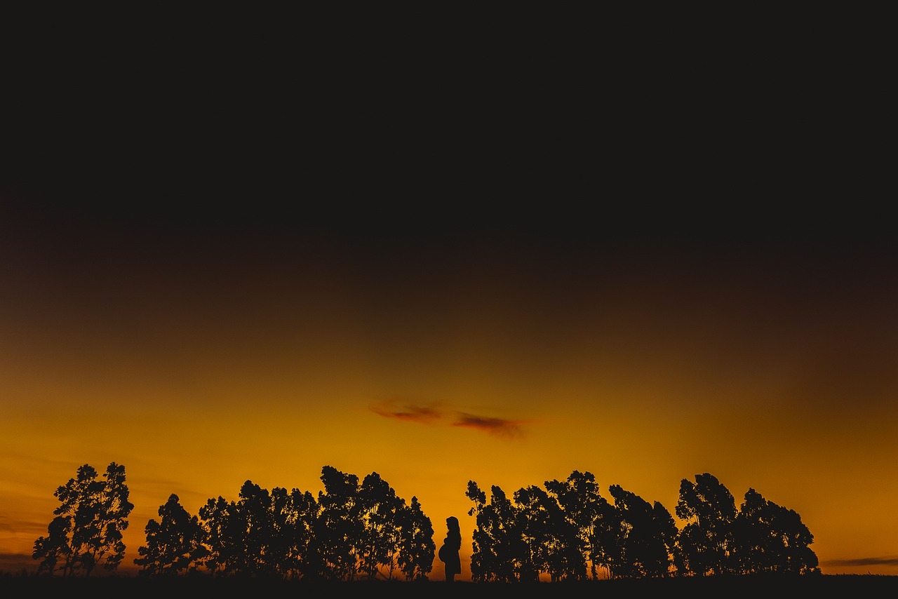 sunset-3150811_1280